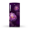 Whirlpool 192 L 3 Star Direct-Cool Single Door Refrigerator (215 IMPRO PRM 3S PURPLE PEONY-Z, 2023 Model)