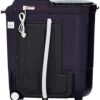 Whirlpool 8.5 kg 5 Star, Power Dry Technology Semi Automatic Top Load Washing Machine Purple  (ACE 8.5 TRB DRY PURPLE DAZZLE (10YR)) - Image 3