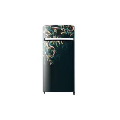 Samsung 198 L 3 Star Inverter Direct cool Single Door Refrigerator(RR21A2F2YTG/HL, Digi-Touch Cool, Base Stand with Drawer, Tropical Delight, Silver, 2022 Model)