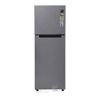 SAMSUNG 253 L Frost Free Double Door 2 Star Refrigerator (Elective Silver, RT28K3022SE)